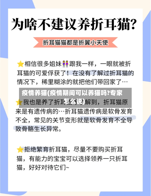 疫情养猫(疫情期间可以养猫吗?专家怎么说)
