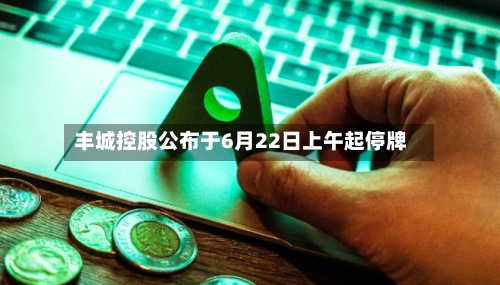 丰城控股公布于6月22日上午起停牌