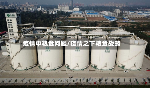 疫情中粮食问题/疫情之下粮食战略