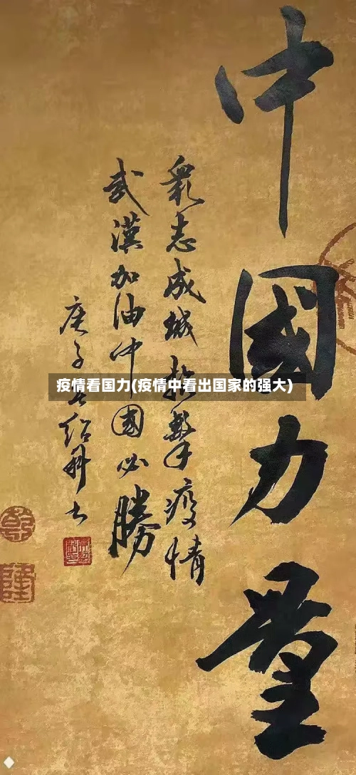 疫情看国力(疫情中看出国家的强大)-第2张图片