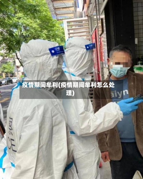 疫情期间牟利(疫情期间牟利怎么处理)