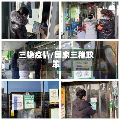 三稳疫情/国家三稳政策