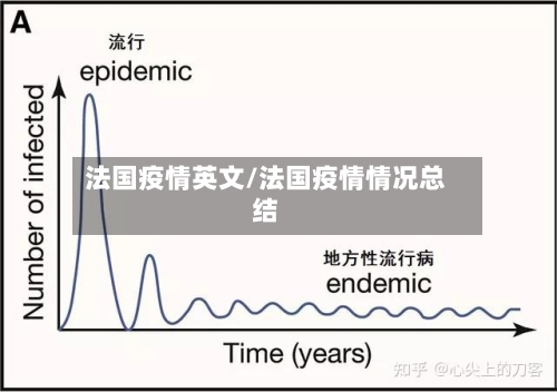 法国疫情英文/法国疫情情况总结
