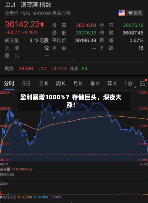 盈利暴增1000%？存储巨头，深夜大涨！-第2张图片