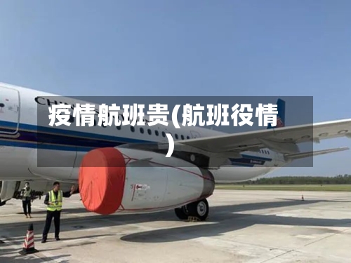 疫情航班贵(航班役情)-第2张图片