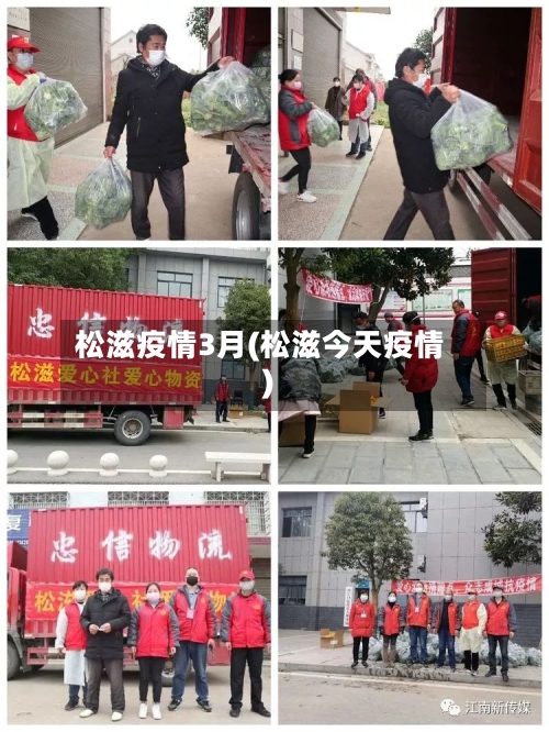 松滋疫情3月(松滋今天疫情)-第2张图片