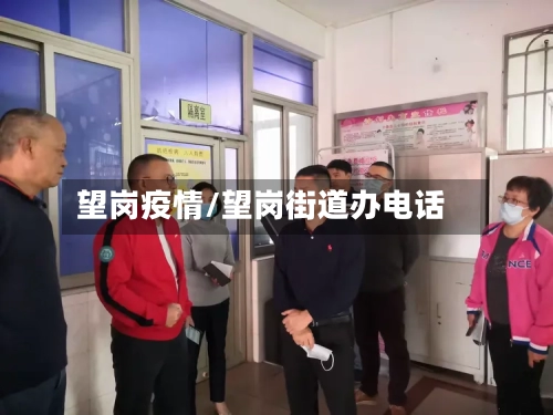 望岗疫情/望岗街道办电话