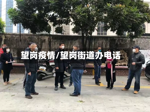 望岗疫情/望岗街道办电话-第2张图片