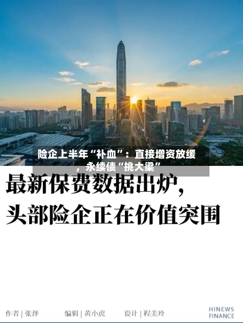 险企上半年“补血”：直接增资放缓，永续债“挑大梁”