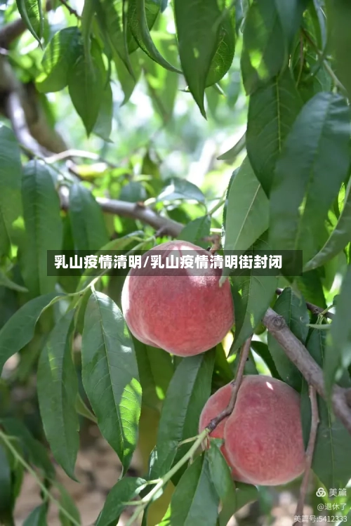 乳山疫情清明/乳山疫情清明街封闭-第2张图片