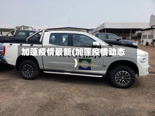 加蓬疫情最新(加蓬疫情动态)-第2张图片