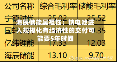 海辰储能吴祖钰：钠电池进入规模化有经济性的交付可能要5年时间