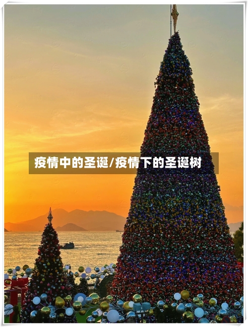 疫情中的圣诞/疫情下的圣诞树-第3张图片
