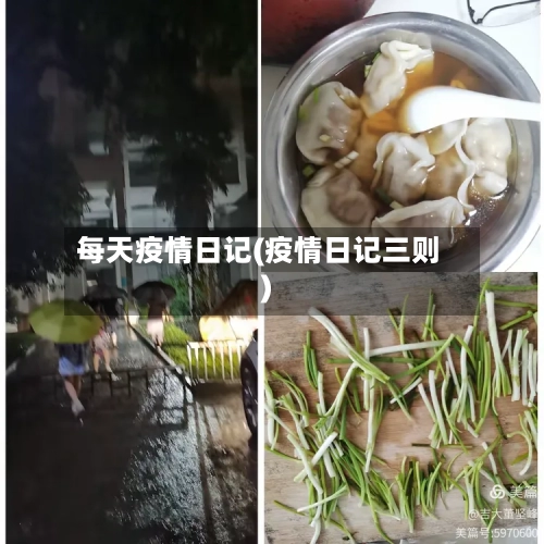 每天疫情日记(疫情日记三则)-第3张图片