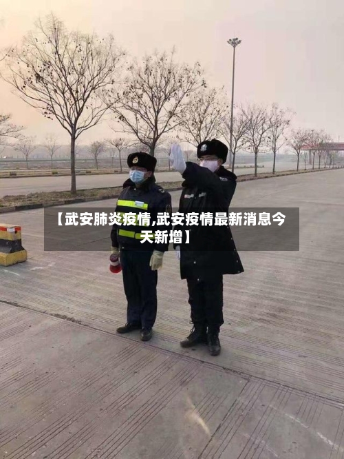 【武安肺炎疫情,武安疫情最新消息今天新增】-第2张图片