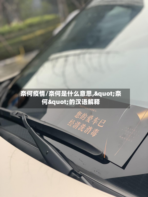 奈何疫情/奈何是什么意思,"奈何"的汉语解释