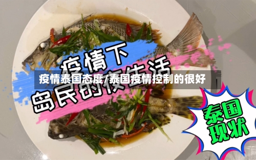 疫情泰国态度/泰国疫情控制的很好-第2张图片