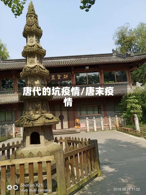 唐代的坑疫情/唐末疫情