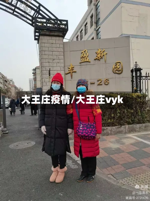 大王庄疫情/大王庄vyk