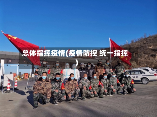 总体指挥疫情(疫情防控 统一指挥)