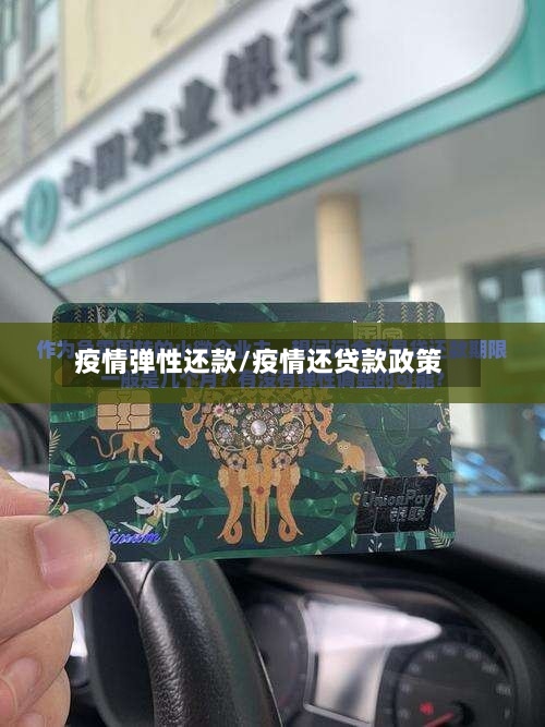 疫情弹性还款/疫情还贷款政策-第2张图片