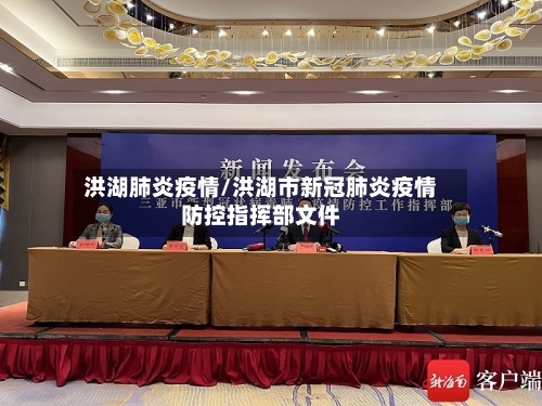 洪湖肺炎疫情/洪湖市新冠肺炎疫情防控指挥部文件-第2张图片