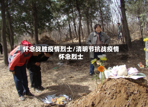 怀念战胜疫情烈士/清明节抗战疫情怀念烈士