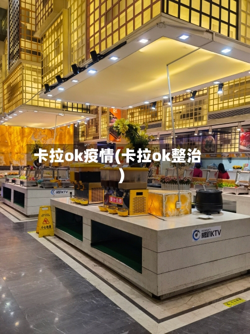 卡拉ok疫情(卡拉ok整治)