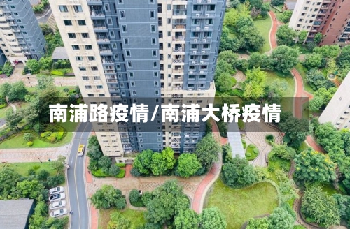 南浦路疫情/南浦大桥疫情-第2张图片