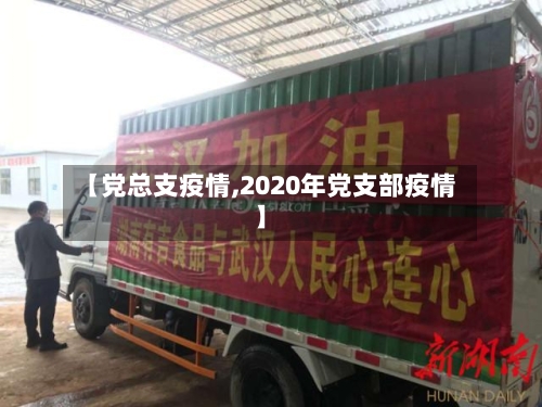 【党总支疫情,2020年党支部疫情】-第2张图片
