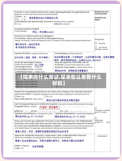 【探亲办什么签证,探亲签证需要什么材料】-第2张图片