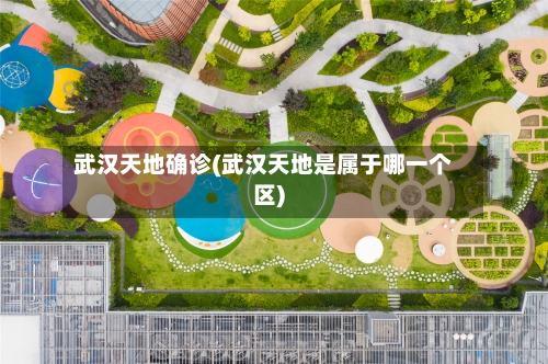 武汉天地确诊(武汉天地是属于哪一个区)-第2张图片