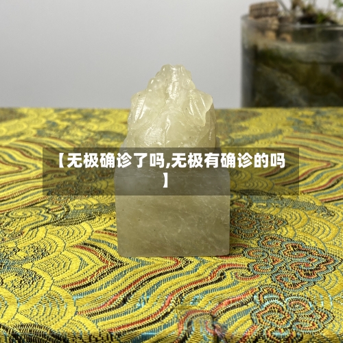 【无极确诊了吗,无极有确诊的吗】-第2张图片