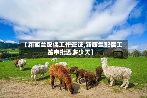【新西兰配偶工作签证,新西兰配偶工签审批要多少天】
