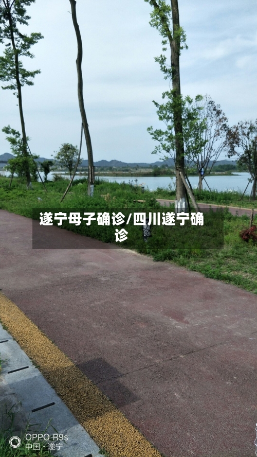 遂宁母子确诊/四川遂宁确诊-第2张图片