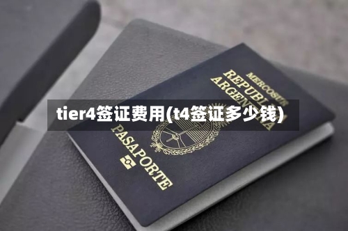 tier4签证费用(t4签证多少钱)