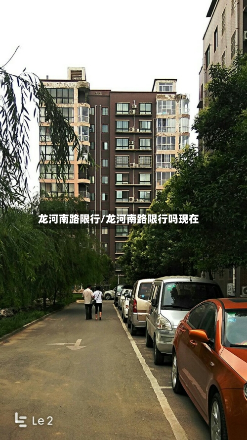龙河南路限行/龙河南路限行吗现在-第2张图片