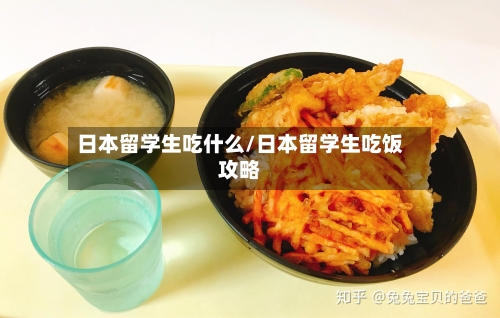 日本留学生吃什么/日本留学生吃饭攻略