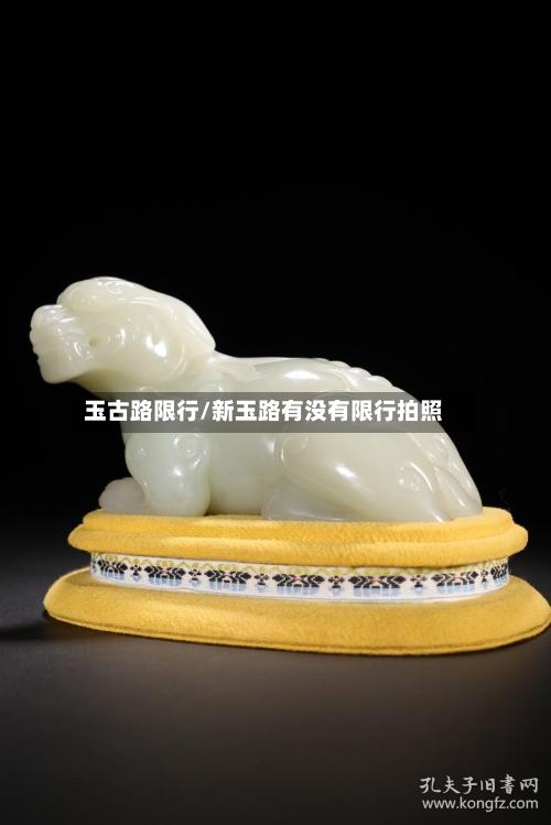 玉古路限行/新玉路有没有限行拍照-第2张图片