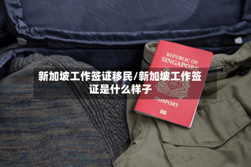 新加坡工作签证移民/新加坡工作签证是什么样子-第2张图片