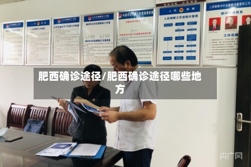 肥西确诊途径/肥西确诊途径哪些地方