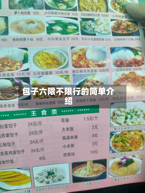 包子六限不限行的简单介绍-第3张图片