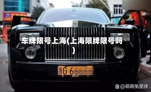 车牌限号上海(上海限牌限号吗)