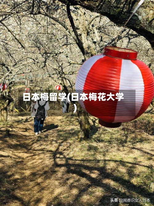 日本梅留学(日本梅花大学)-第3张图片