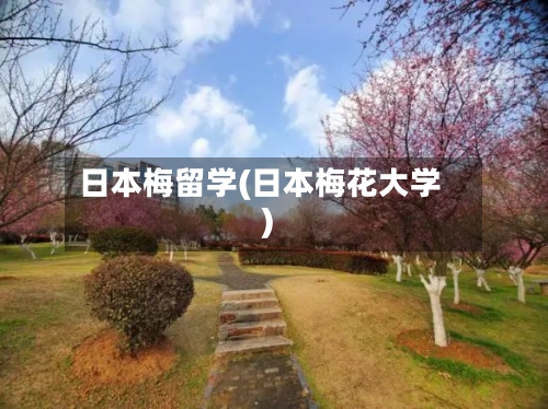 日本梅留学(日本梅花大学)