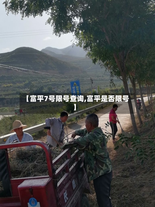 【富平7号限号查询,富平是否限号】-第2张图片