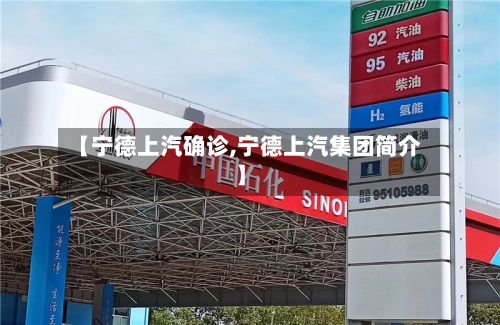 【宁德上汽确诊,宁德上汽集团简介】
