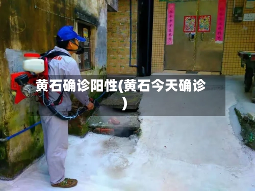 黄石确诊阳性(黄石今天确诊)-第2张图片