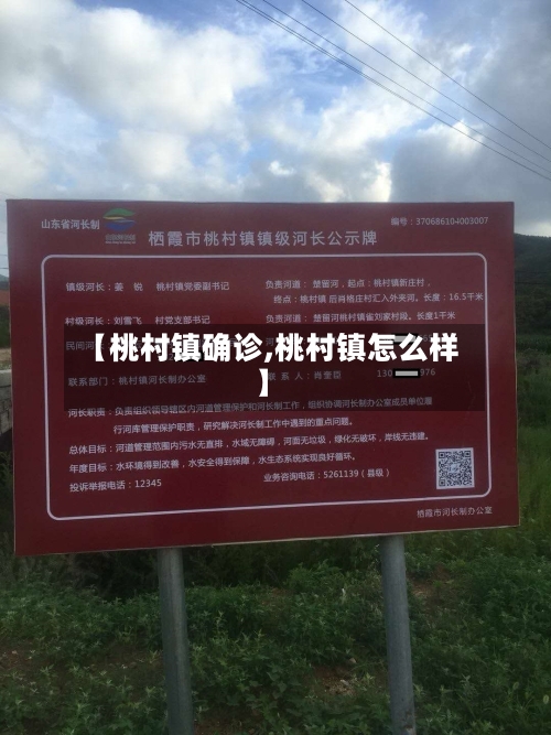 【桃村镇确诊,桃村镇怎么样】