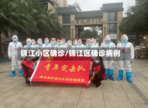 锦江小区确诊/锦江区确诊病例